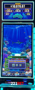 Daily Bonuses 221bet